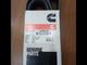 3289235 Ремень 8PK1755 Cummins 6CT, ISC
