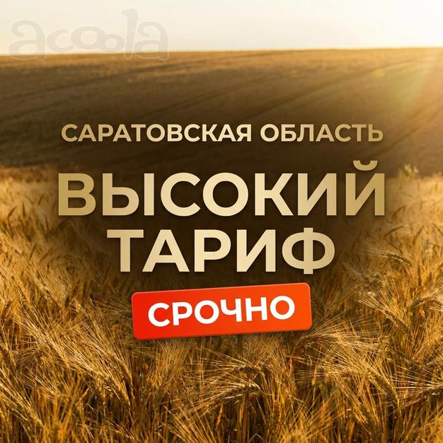 Срочно требуются самосвалы 8×4 в Саратовскую область - высокий тариф